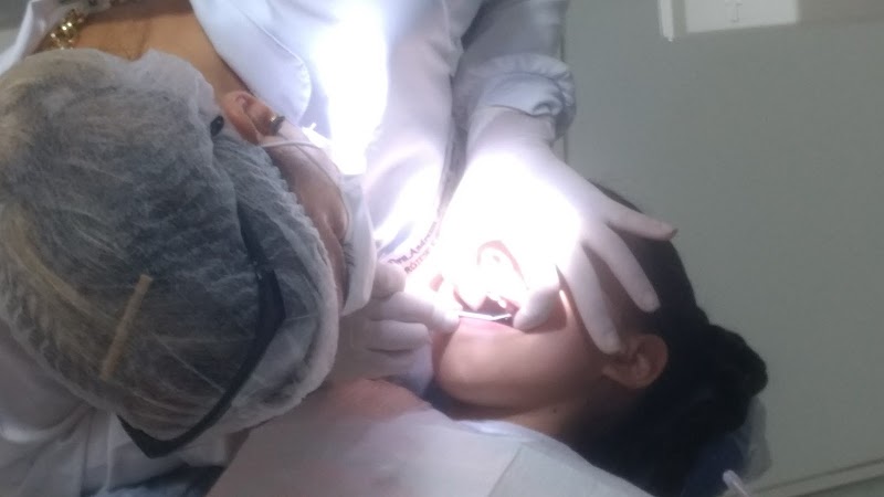 Foto 6 de Dra. Lila Bolsanelo - Dentista