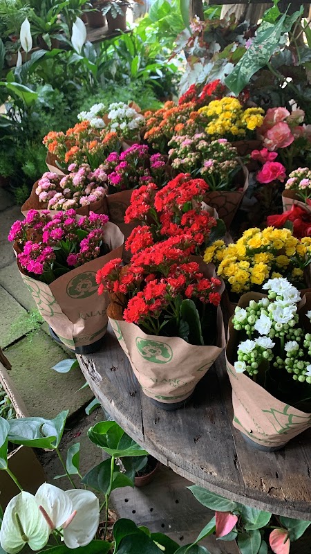 Garden São Jorge - geral em Barra do Jucu, Vila Velha/ES - Foto 2