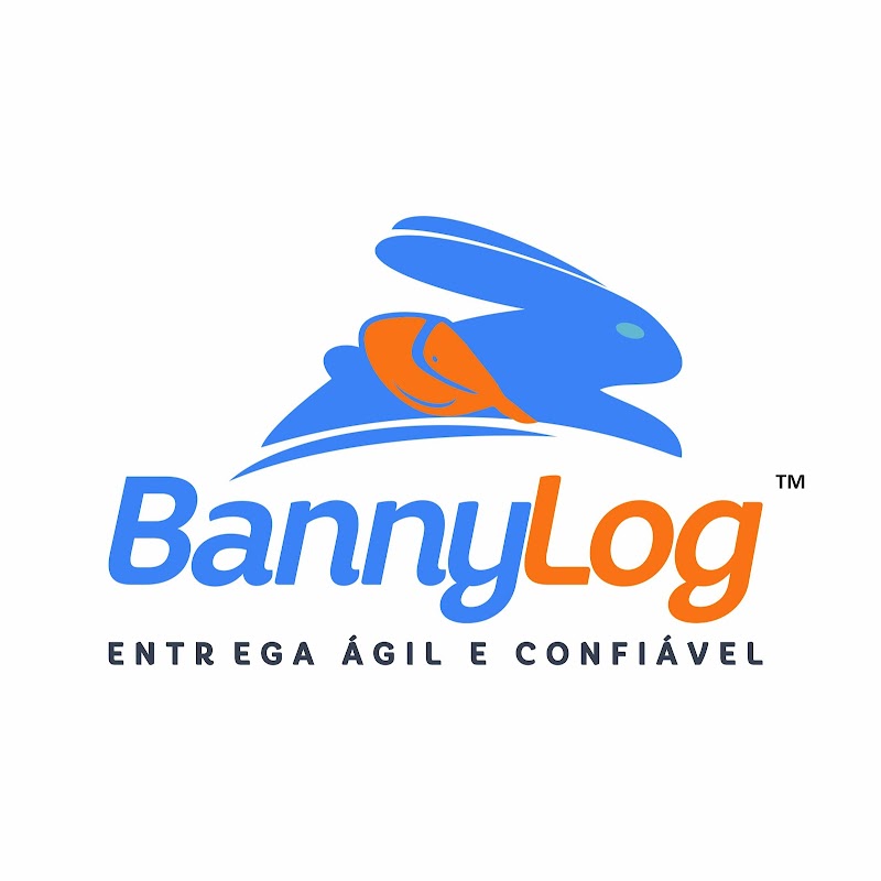 BannyLog - geral em Centro, Vila Velha/ES - Foto 4