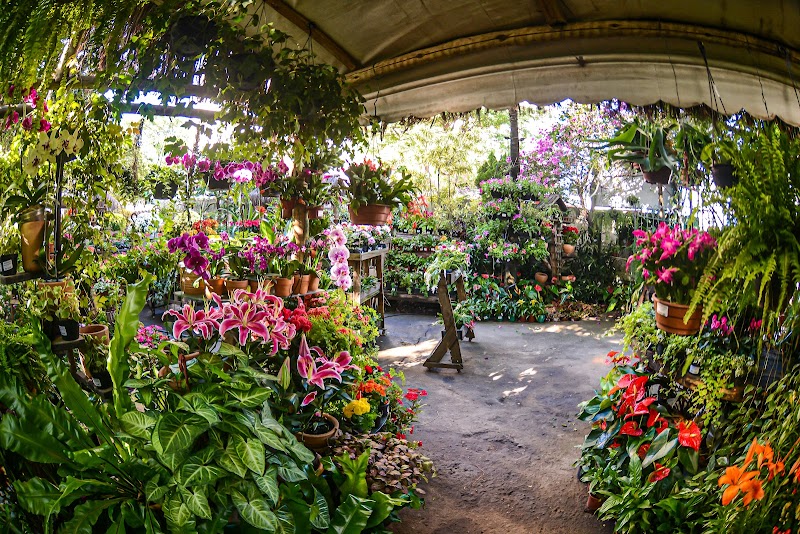 Casa Verde Jardins - geral em Centro, Vila Velha/ES - Foto 4