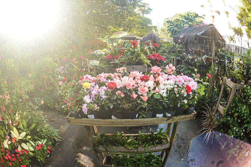 Casa Verde Jardins - geral em Centro, Vila Velha/ES - Foto 5