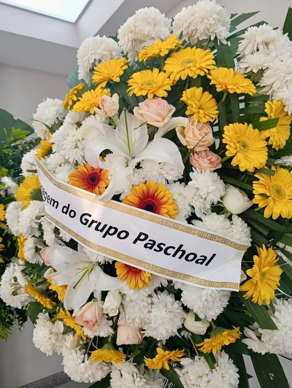 Funerária 24 Horas - geral em Centro, Vila Velha/ES - Foto 2