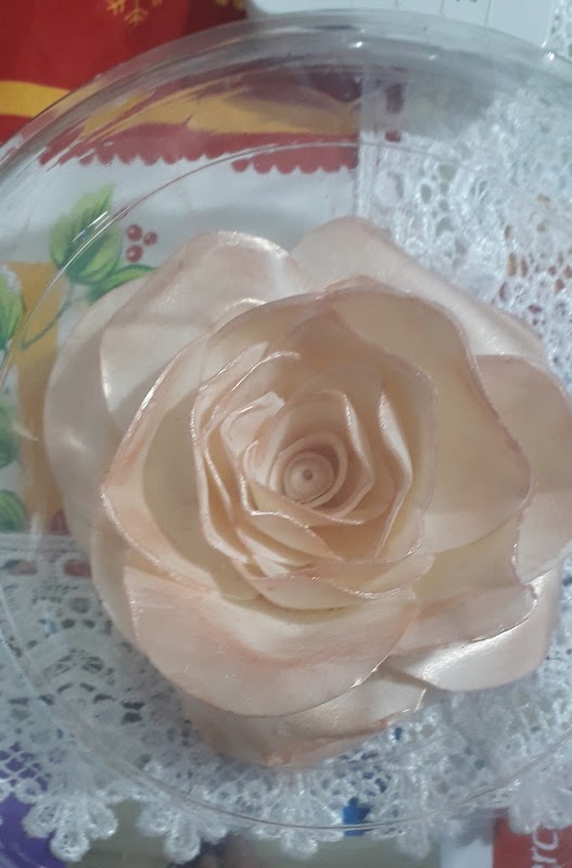 Meu Espaço Ateliê - geral em Centro, Vila Velha/ES - Foto 2