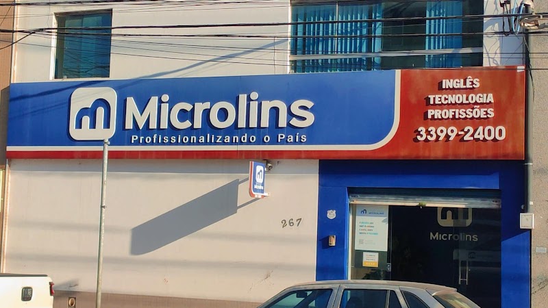 Microlins