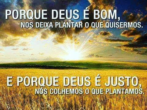 Foto 6 de Pozato Cursos Profissionais