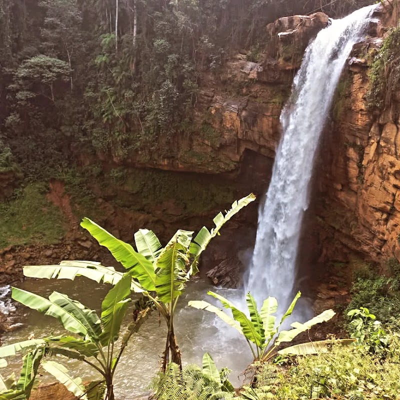 Dhi Turismo - geral em Darly Santos, Vila Velha/ES - Foto 4