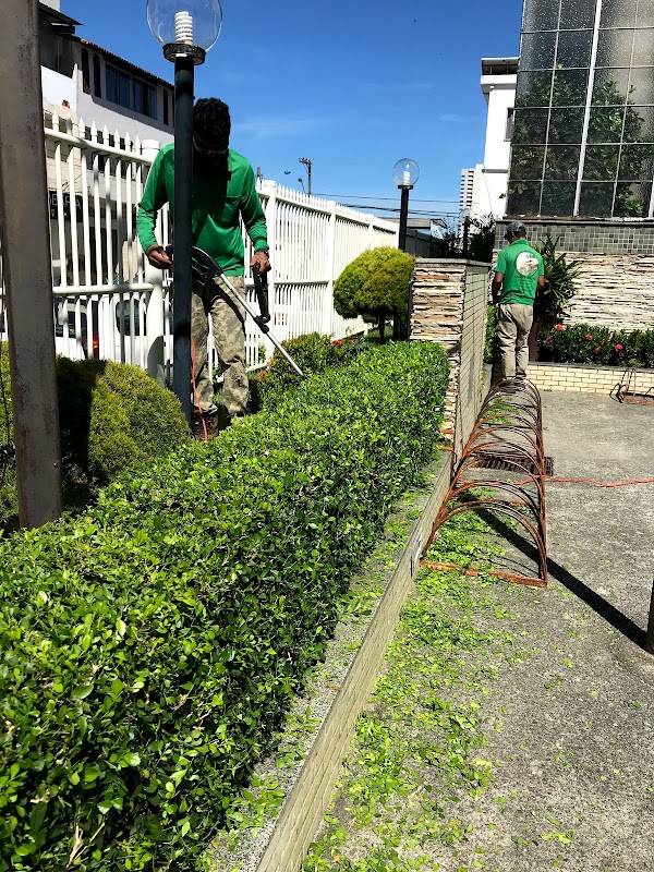 Araujo Paisagista - geral em Garoto, Vila Velha/ES - Foto 3
