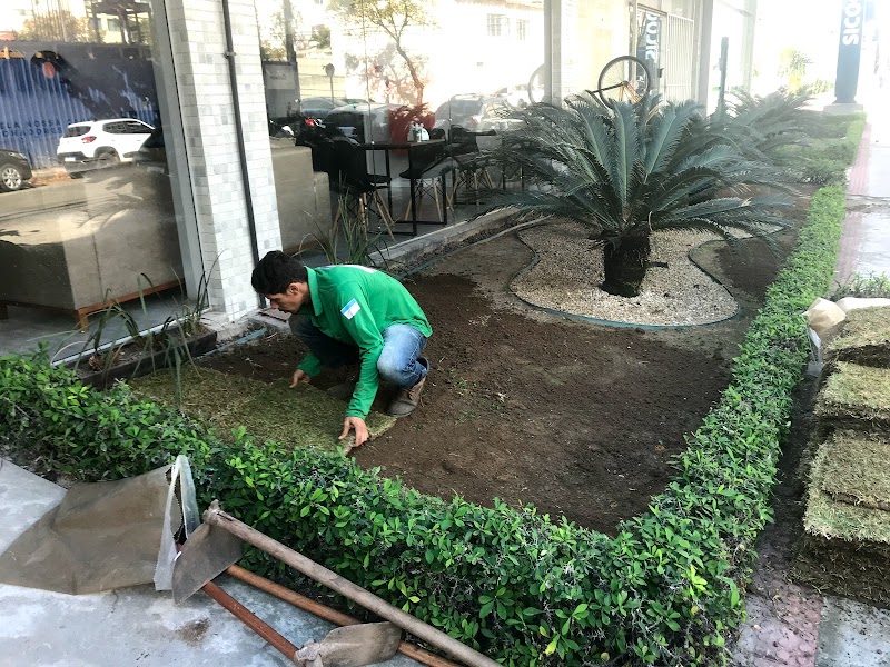 Araujo Paisagista - geral em Garoto, Vila Velha/ES - Foto 5