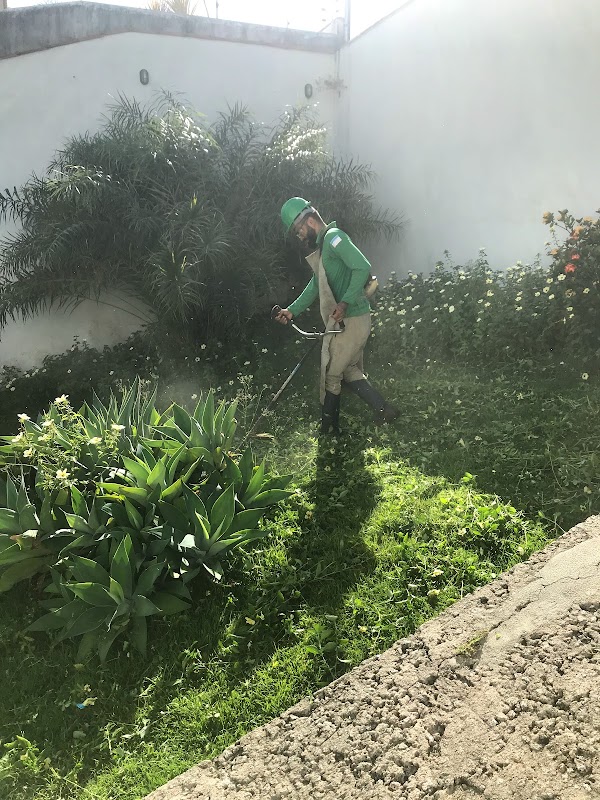 Foto 6 de Araujo Paisagista