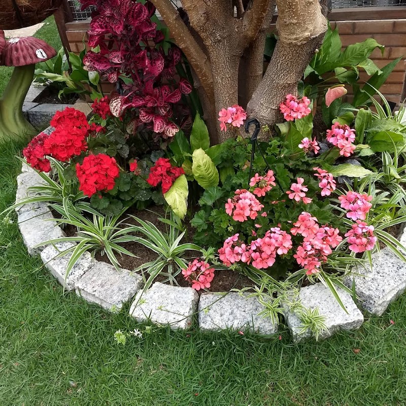 Serjap Serviços de Jardinagem e Paisagismo