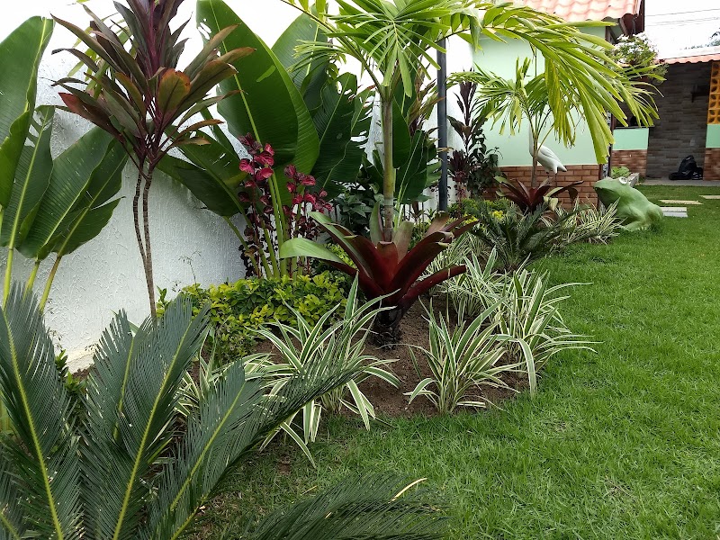 Serjap Serviços De Jardinagem E Paisagismo! - geral em Garoto, Vila Velha/ES - Foto 2
