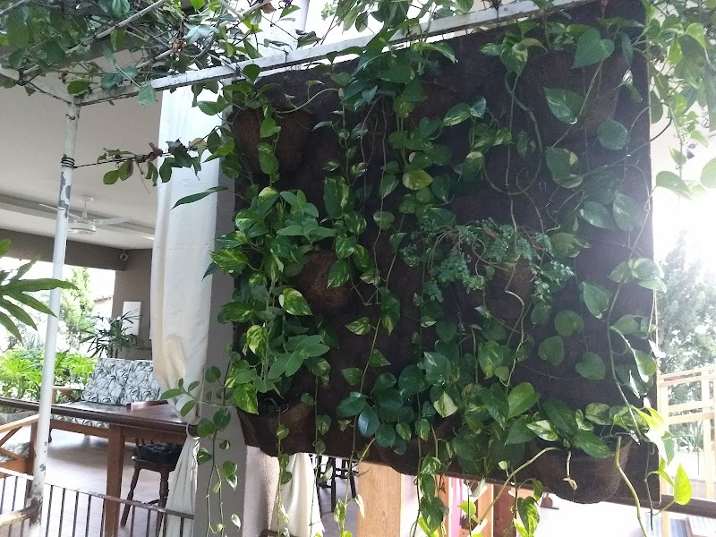 Serjap Serviços De Jardinagem E Paisagismo! - geral em Garoto, Vila Velha/ES - Foto 4