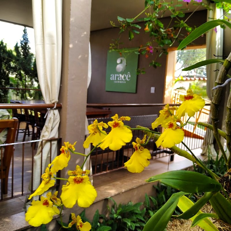 Foto 6 de Serjap Serviços de Jardinagem e Paisagismo