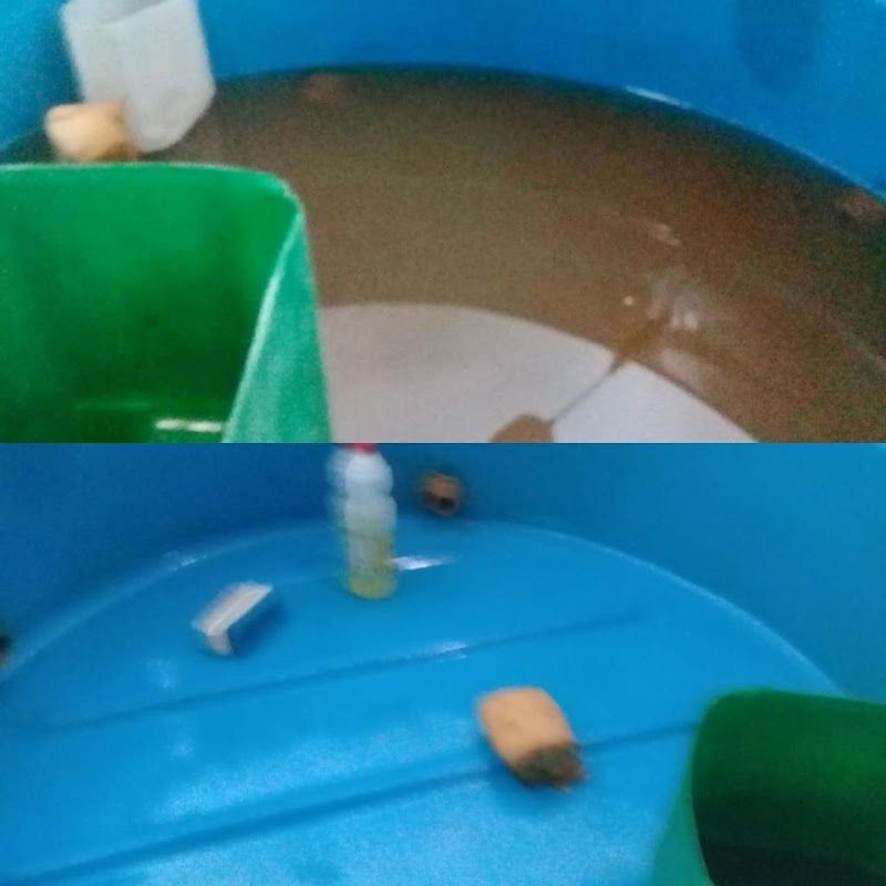 Starhig - Limpeza de caixas d'água, dedetização e serviços para o seu lar - geral em Glória, Vila Velha/ES - Foto 3