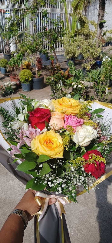 Vila Garden Plantas e Flores | Floricultura em Vila Velha - geral em Ilha dos Ayres, Vila Velha/ES - Foto 2