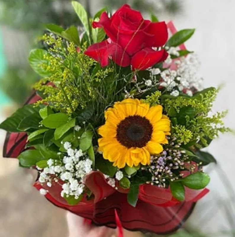 Foto 6 de Vila Garden Plantas e Flores