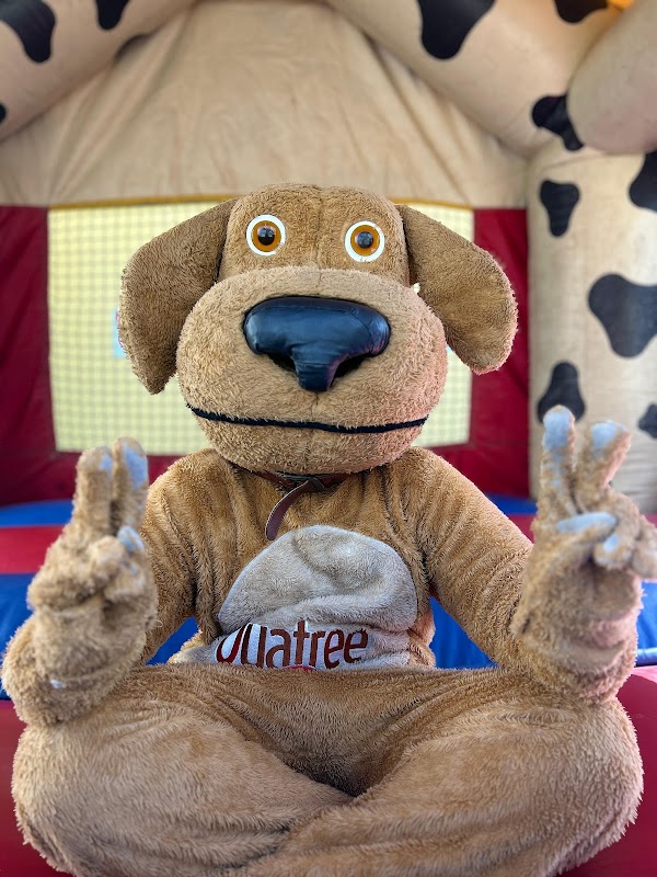 FF Pet Center | Vila Velha - geral em Itapoã, Vila Velha/ES - Foto 5