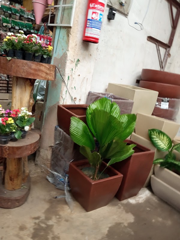 Shopping das Plantas - geral em Nossa Senhora da Penha, Vila Velha/ES - Foto 2