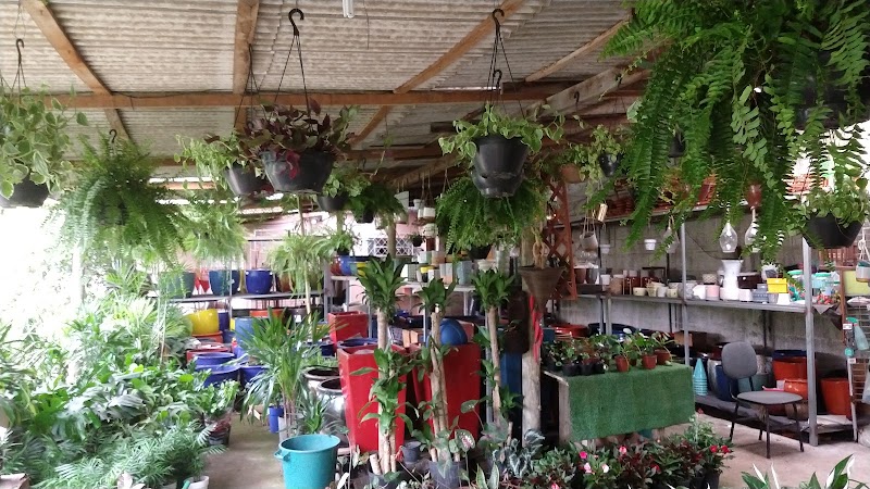Foto 6 de Shopping das Plantas