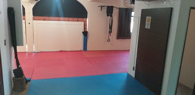 Academia Damasceno Jiu-Jítsu - geral em Praia da Costa, Vila Velha/ES - Foto 4