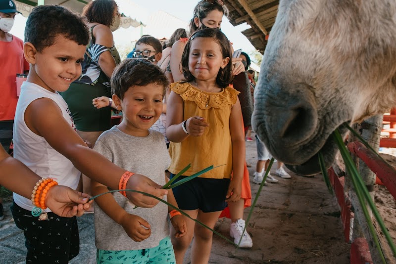 Ana Montez fotografia - geral em Praia da Costa, Vila Velha/ES - Foto 5