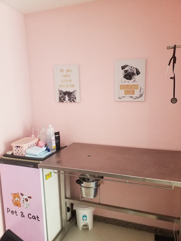 Clínica Veterinária Praia da Costa - geral em Praia da Costa, Vila Velha/ES - Foto 4