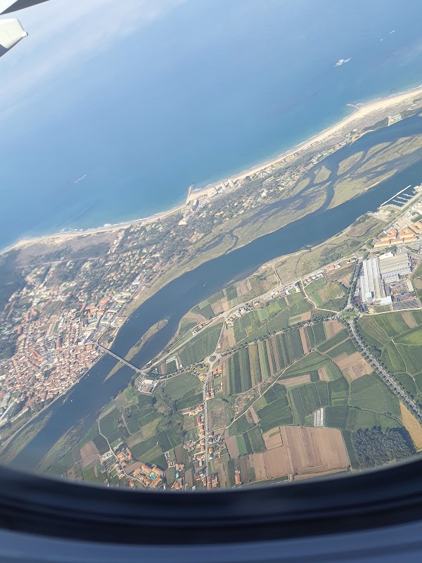 Dfly Viagens