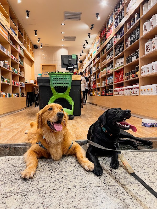 Fast Nutri Shopping Praia da Costa - Loja de Suplementos em Praia da Costa, Vila Velha/ES - Foto 4