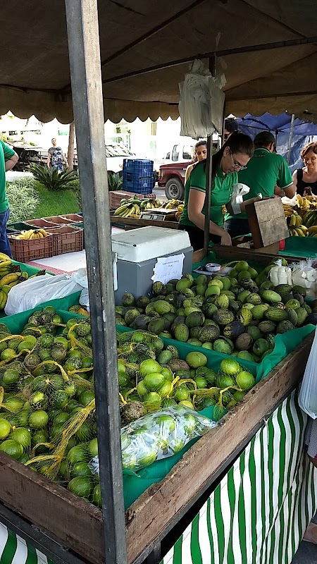 Feira Orgânica da Praia da Costa - geral em Praia da Costa, Vila Velha/ES - Foto 2