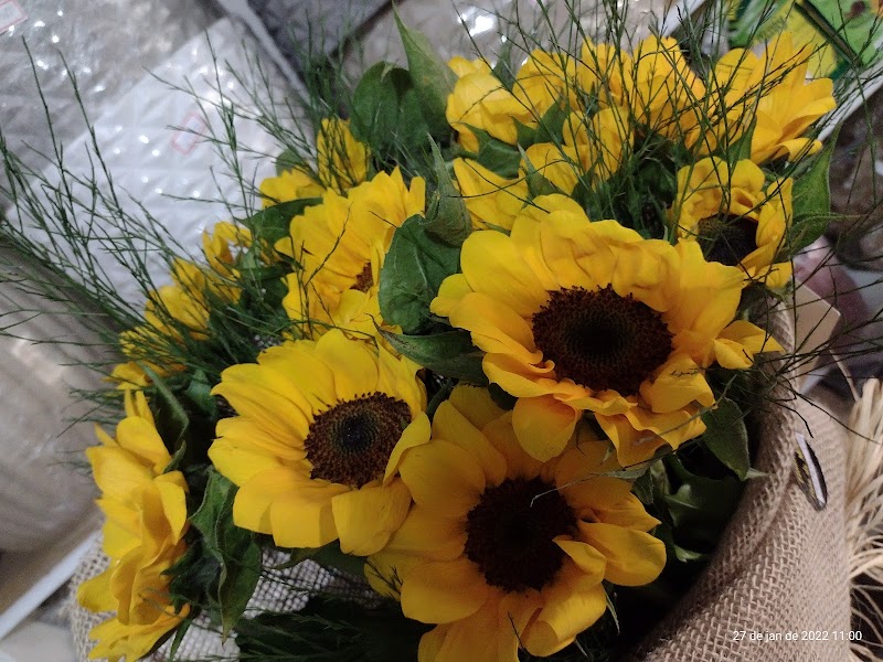 Floricultura Flor de Minas - geral em Praia da Costa, Vila Velha/ES - Foto 2