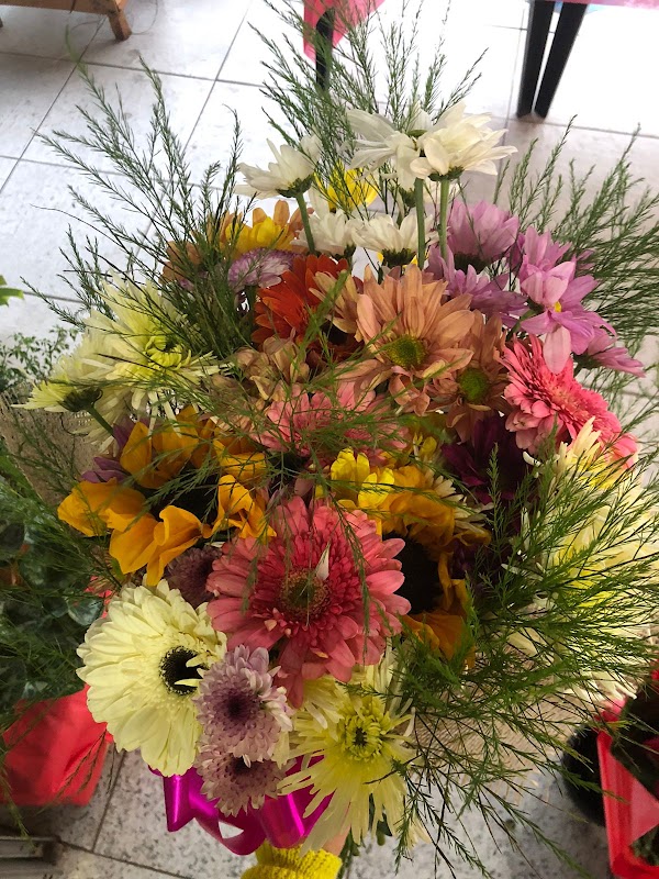 Floricultura Flor de Minas - geral em Praia da Costa, Vila Velha/ES - Foto 5