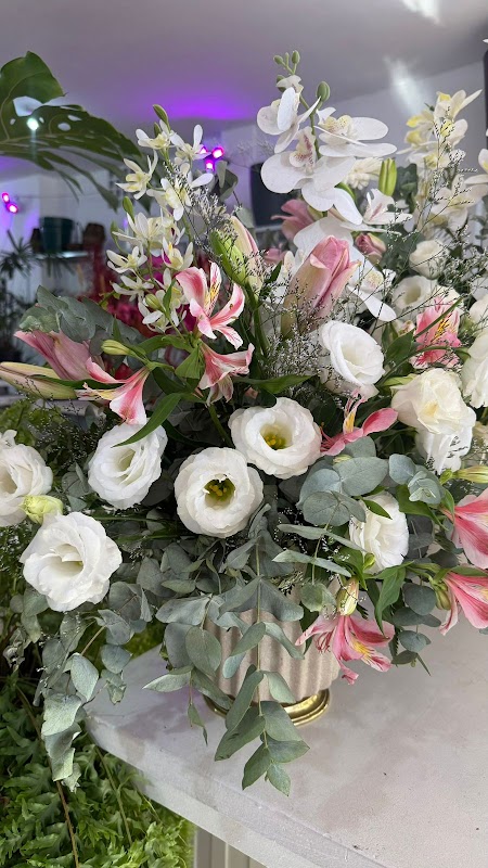 Floricultura Rosa de Saron Vila Velha - geral em Praia da Costa, Vila Velha/ES - Foto 4
