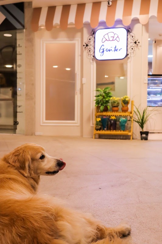 Goûter - geral em Praia da Costa, Vila Velha/ES - Foto 3