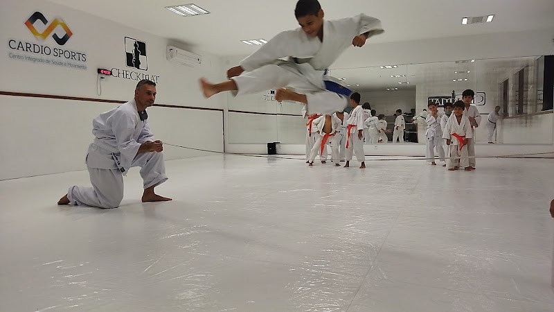 Karate Kyokushin