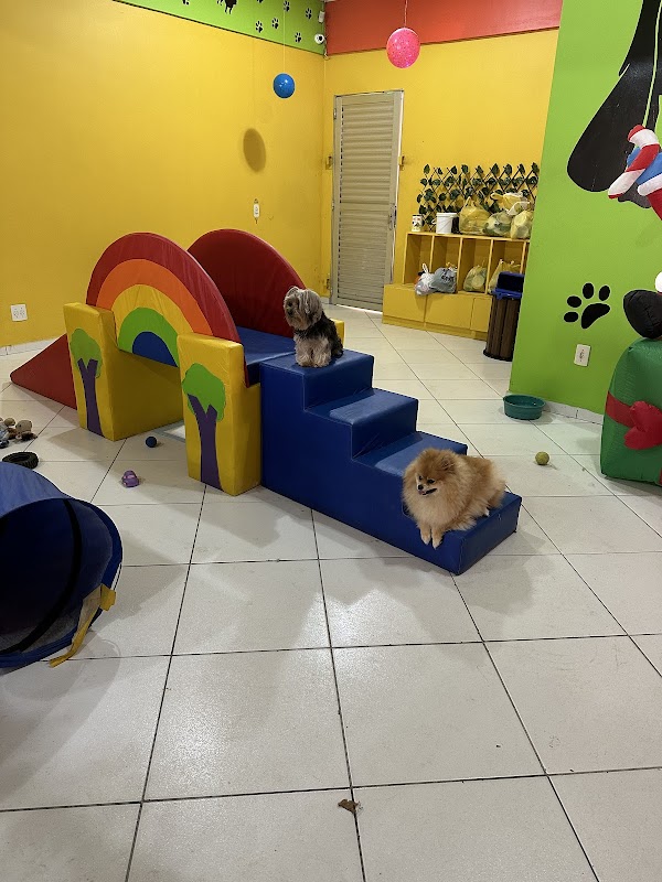 Lilla & Joe PetShop Praia Da Costa - geral em Praia da Costa, Vila Velha/ES - Foto 2