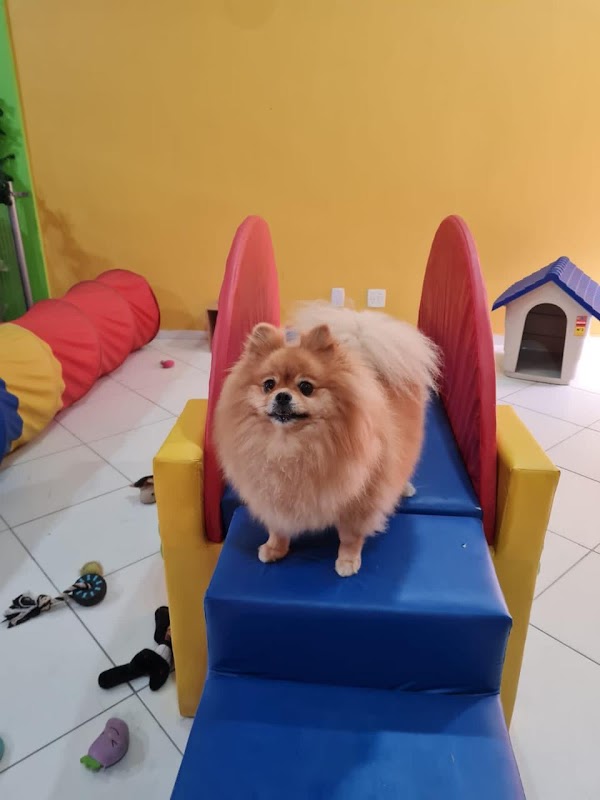 Lilla & Joe PetShop Praia Da Costa - geral em Praia da Costa, Vila Velha/ES - Foto 4