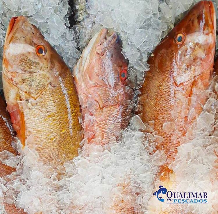 Peixaria Qualimar - geral em Praia da Costa, Vila Velha/ES - Foto 4