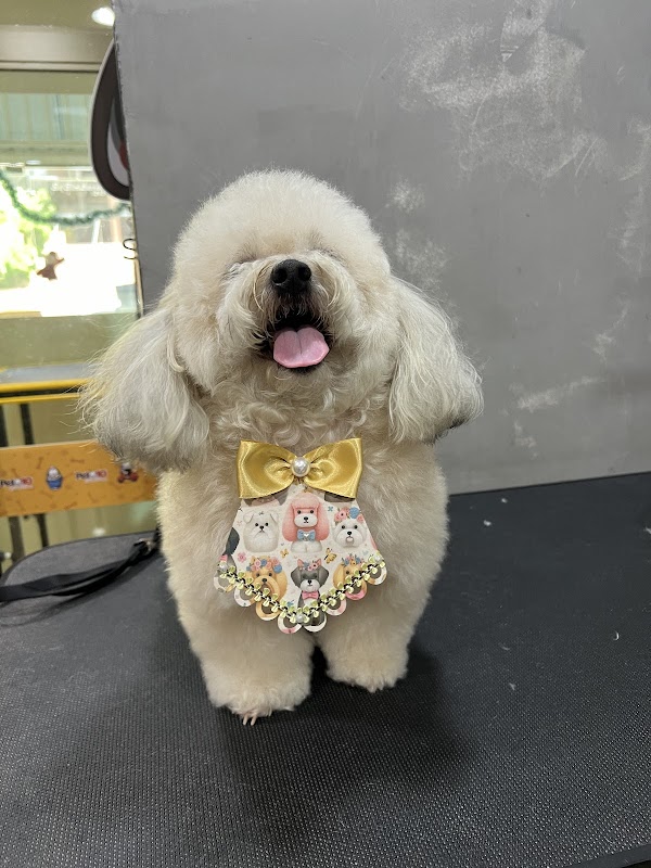 Pet 10 By Andrade & Camargo - geral em Praia da Costa, Vila Velha/ES - Foto 3