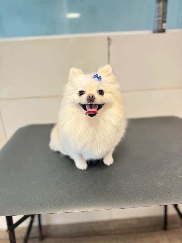 Pet Shop | Pet Mimo Praia da Costa - geral em Praia da Costa, Vila Velha/ES - Foto 5