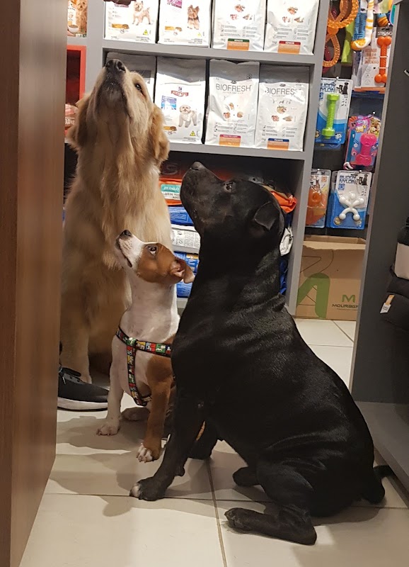 Pet Wash Praia da Costa