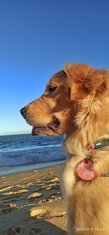 Viagens da Amora - geral em Praia da Costa, Vila Velha/ES - Foto 5