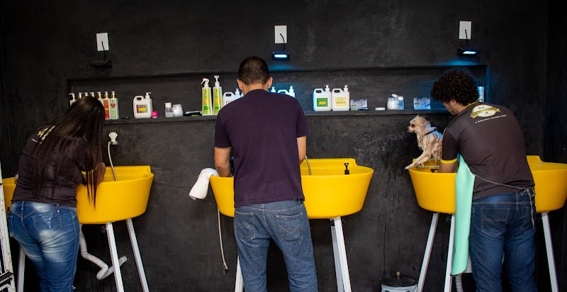 Pet Premium Pet Shop - geral em Praia de Itaparica, Vila Velha/ES - Foto 2