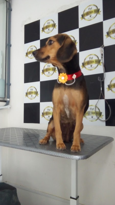 Foto 6 de Pet Premium Pet Shop