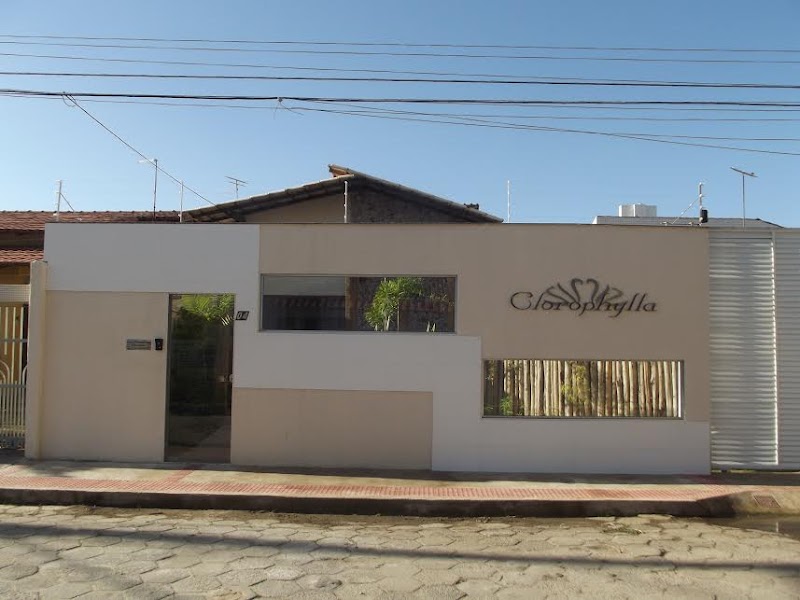 Clorophylla Paisagismo