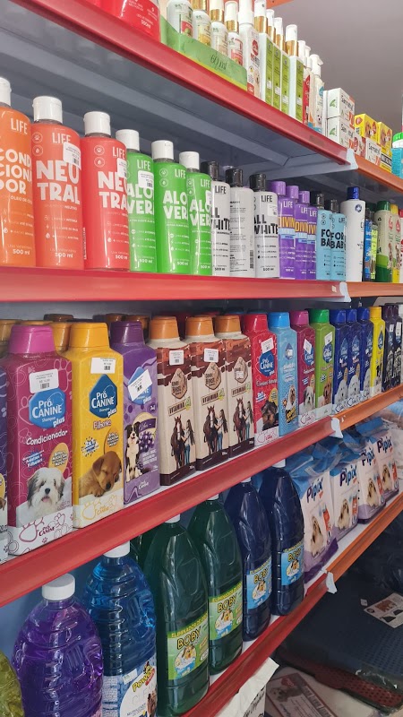 Foto 6 de Império Pet Center