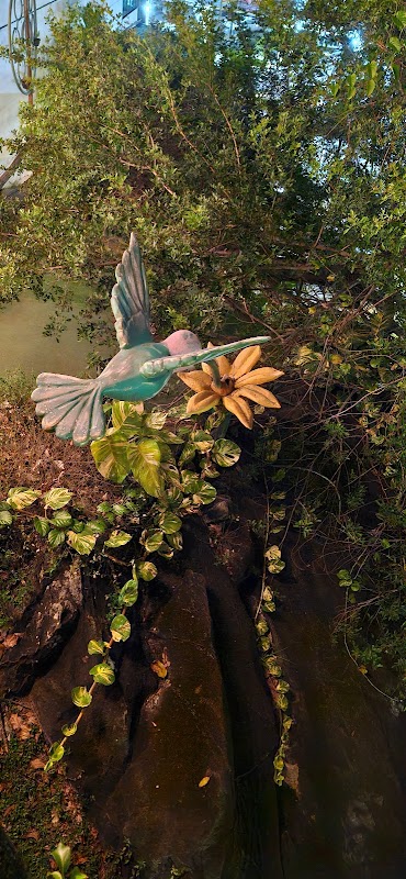 Foto 6 de Gardênlandia